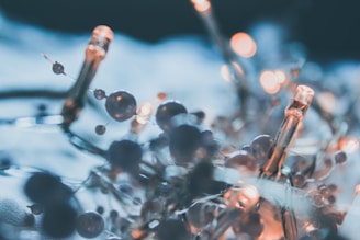 Close-up of golden balloon arrangements intertwined with fairy lights creating a magical atmosphere.