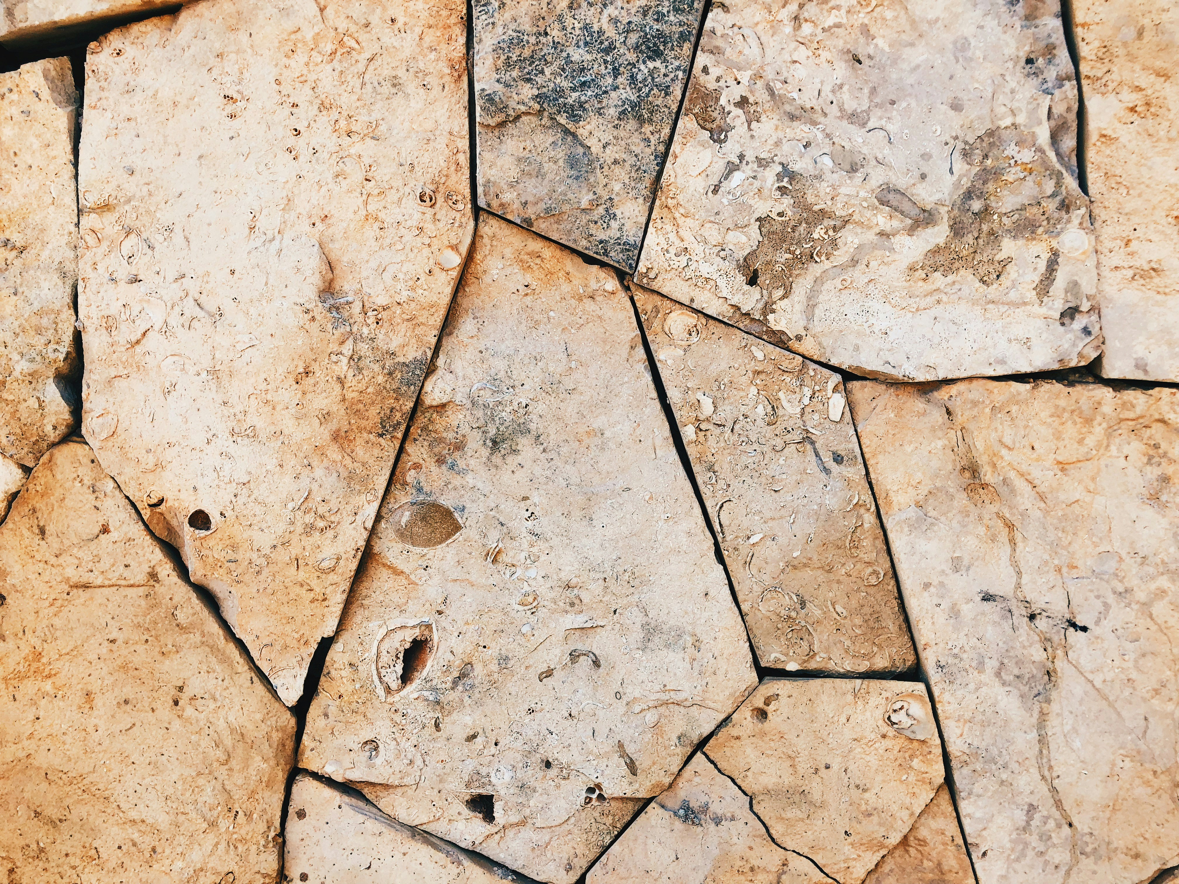 Photo by aperture_andy