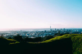 A panoramic view from the tower balcony showing the sprawling city and green horizon.