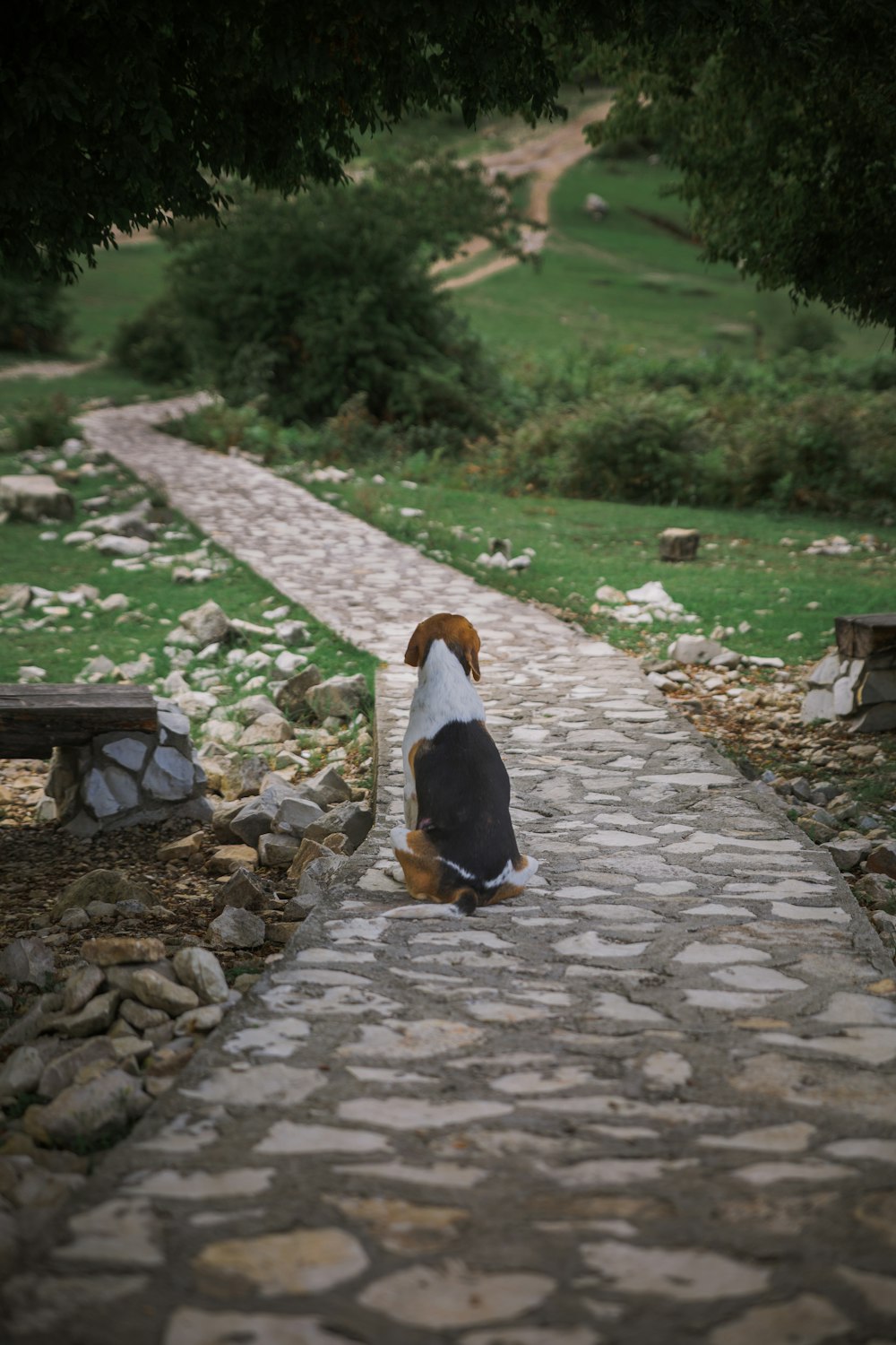 brown and white ceramic bird figurine