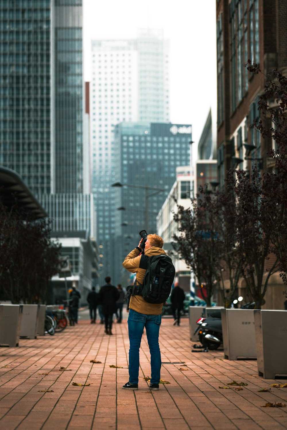 750 photoshop pictures hd download