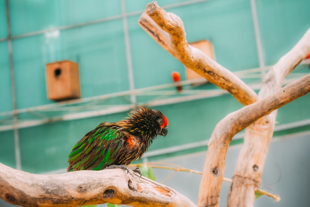 bird on tree branch