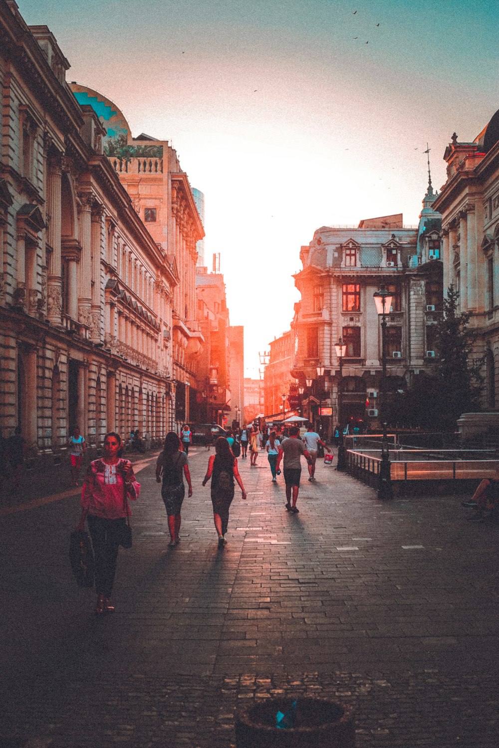 people walking along pathway