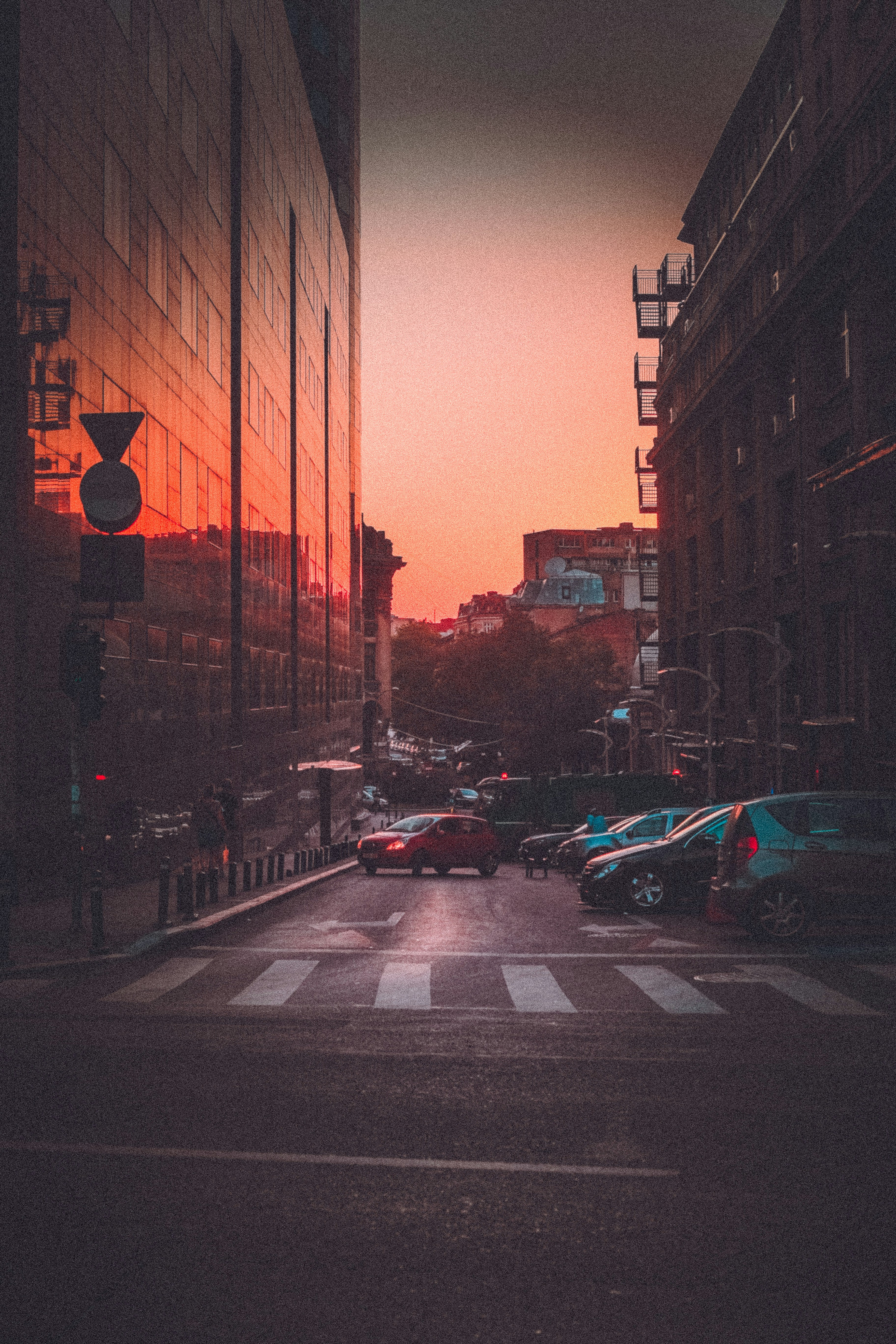 Photo by andreipanfi