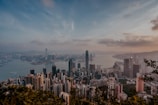 A scenic view of a bustling financial district.