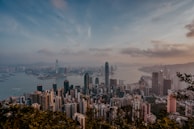 A panoramic view of Hong Kong skyline symbolizing the global reach of young ads.
