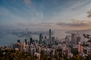 A scenic view of a bustling financial district.