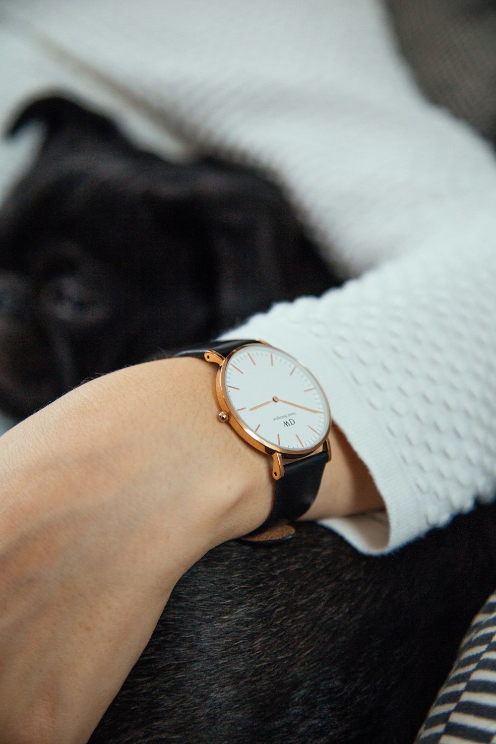 gold and black analog watch