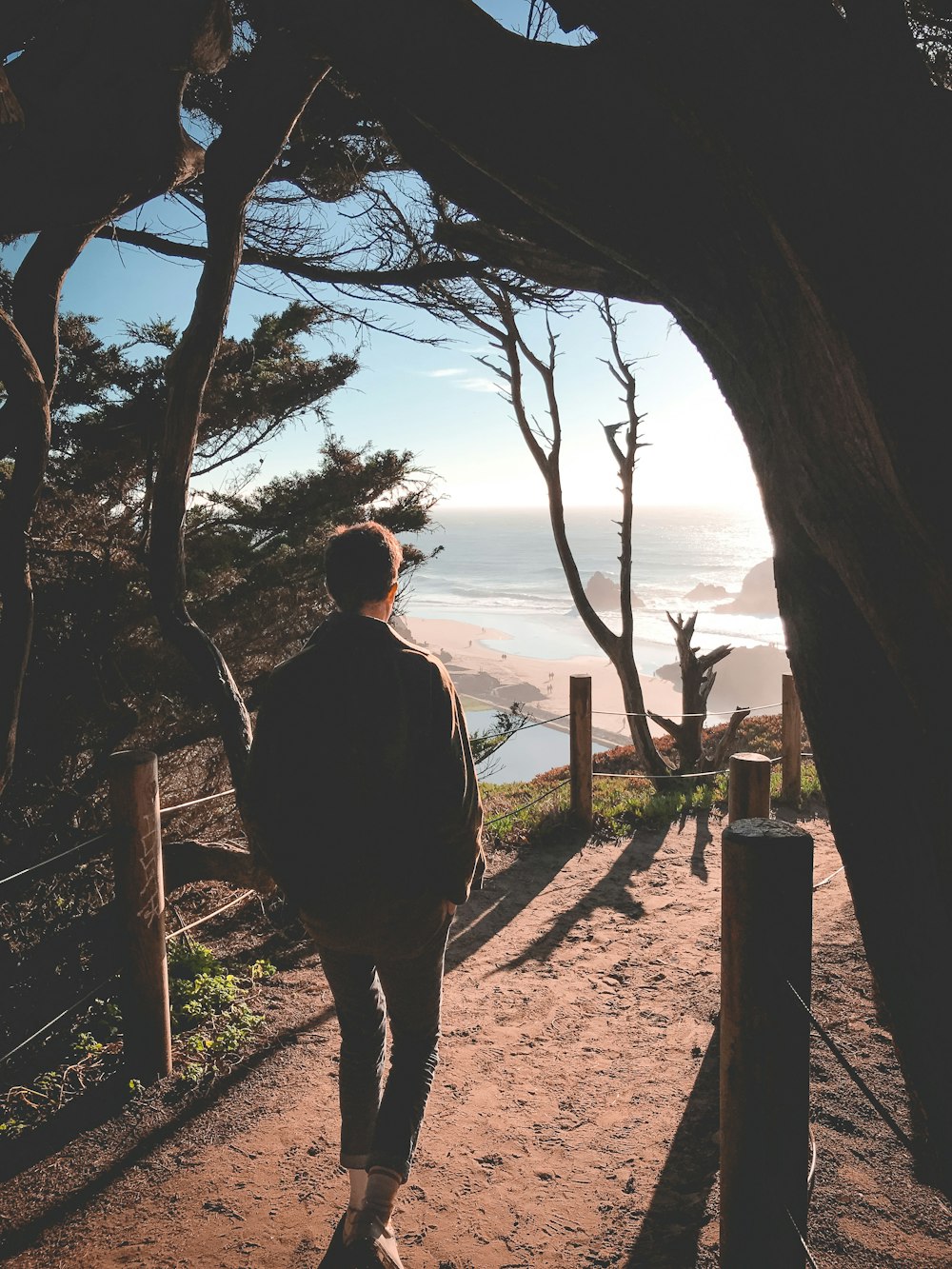 man walking beside tree