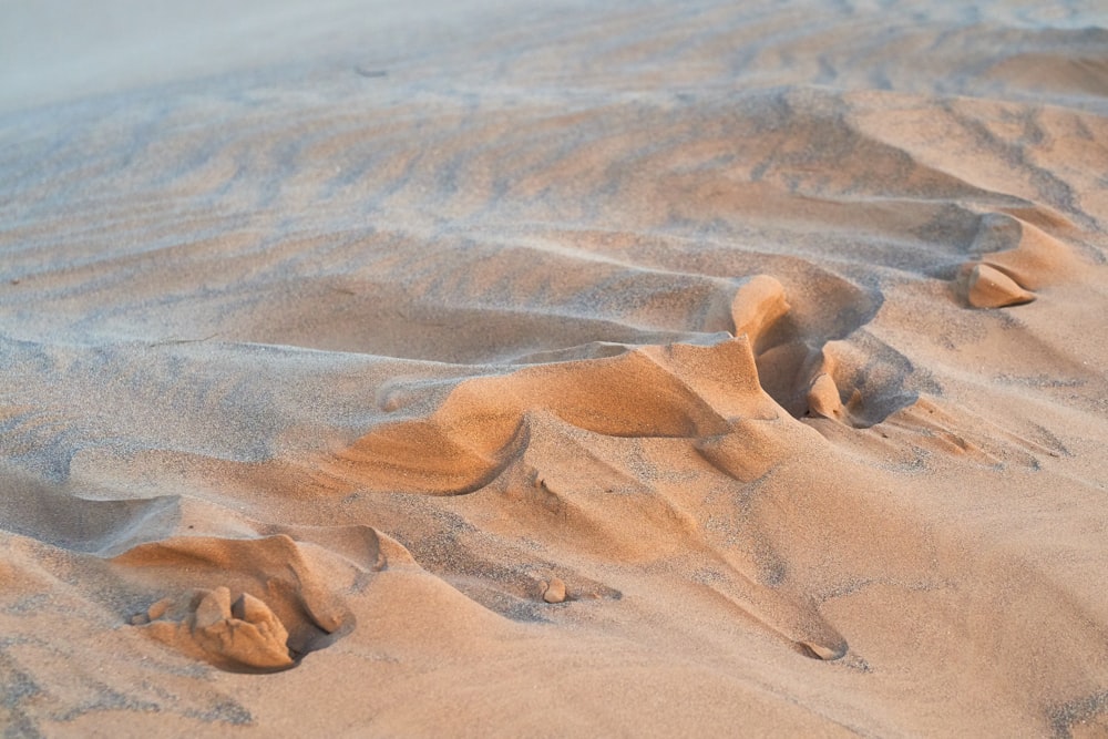 aerial photography of brown sand
