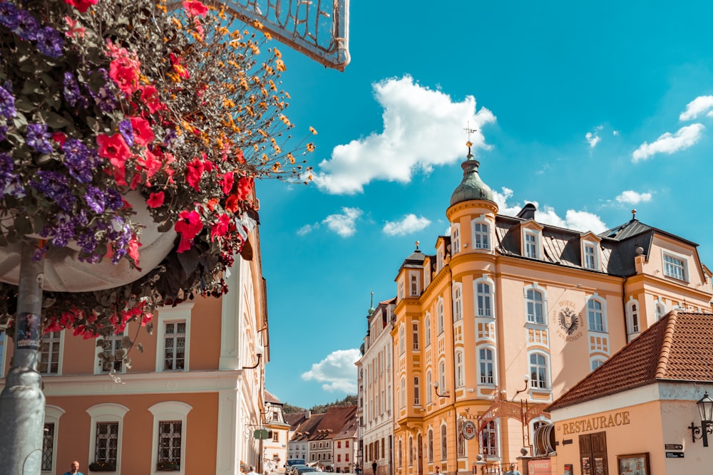 two brown buildings during daytime