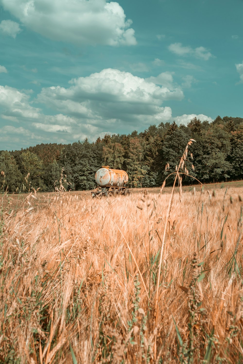 gray and brown metal drum surrounded by trees