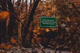 A green sign is nestled among the autumnal forest foliage. The trees are adorned with orange and yellow leaves, creating a warm and inviting atmosphere. The sign reads, 'And in the forest I go, to lose my mind and find my soul,' encapsulating a sense of peace and introspection.
