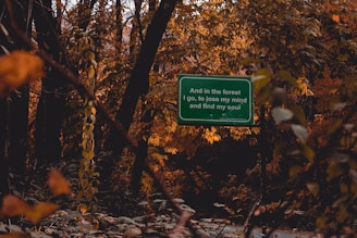 green and white signage