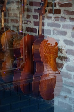 A reflection in a window displaying several string instruments, likely violins or violas, against a backdrop of a brick wall. The wood texture and rich brown color of the instruments are prominent, and there are reflections of trees and outdoor elements visible in the glass. The scene inside seems subdued and quietly elegant.