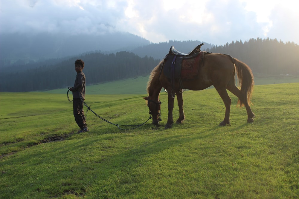 man holding rope and brown horse