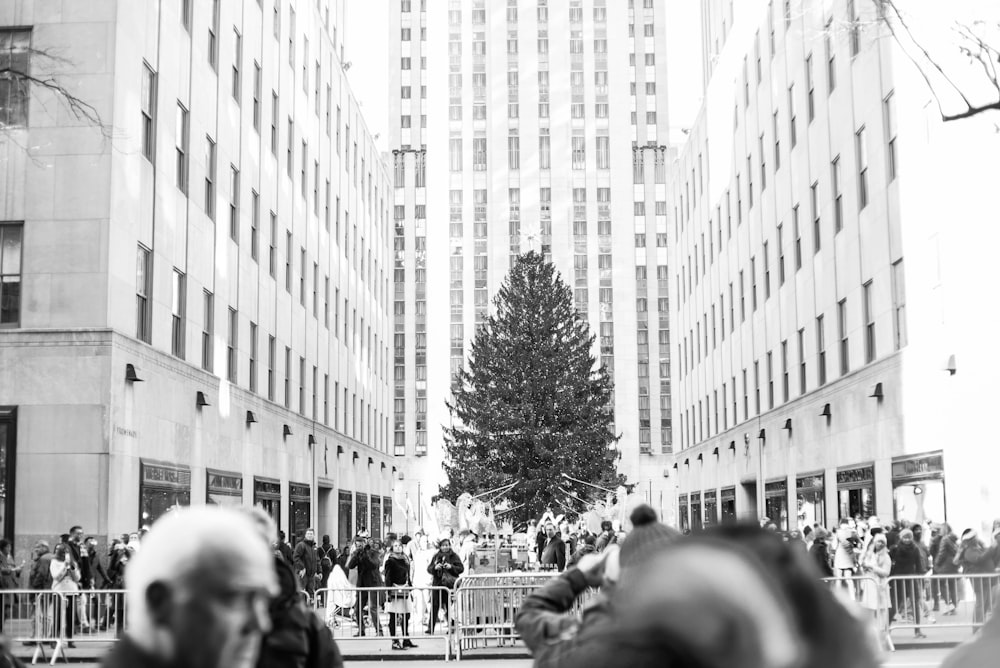 grayscale photo of Christmas tree
