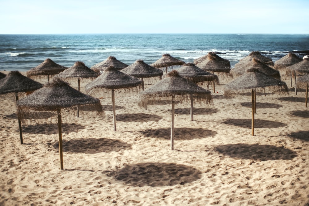 parasol lot on beach