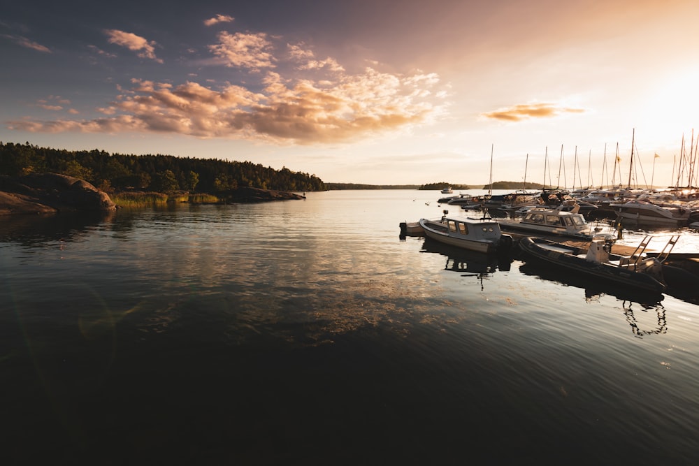 boats on sea