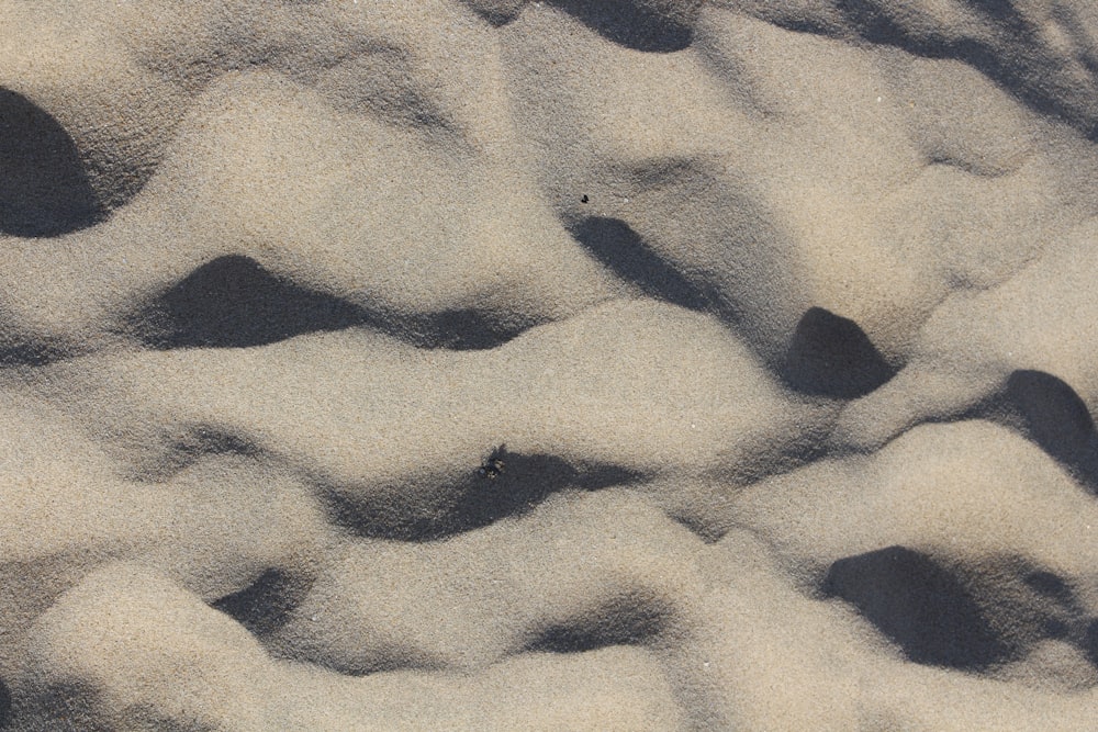 gray sand