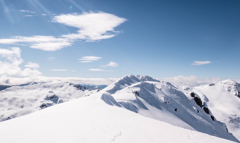 land covered in snow