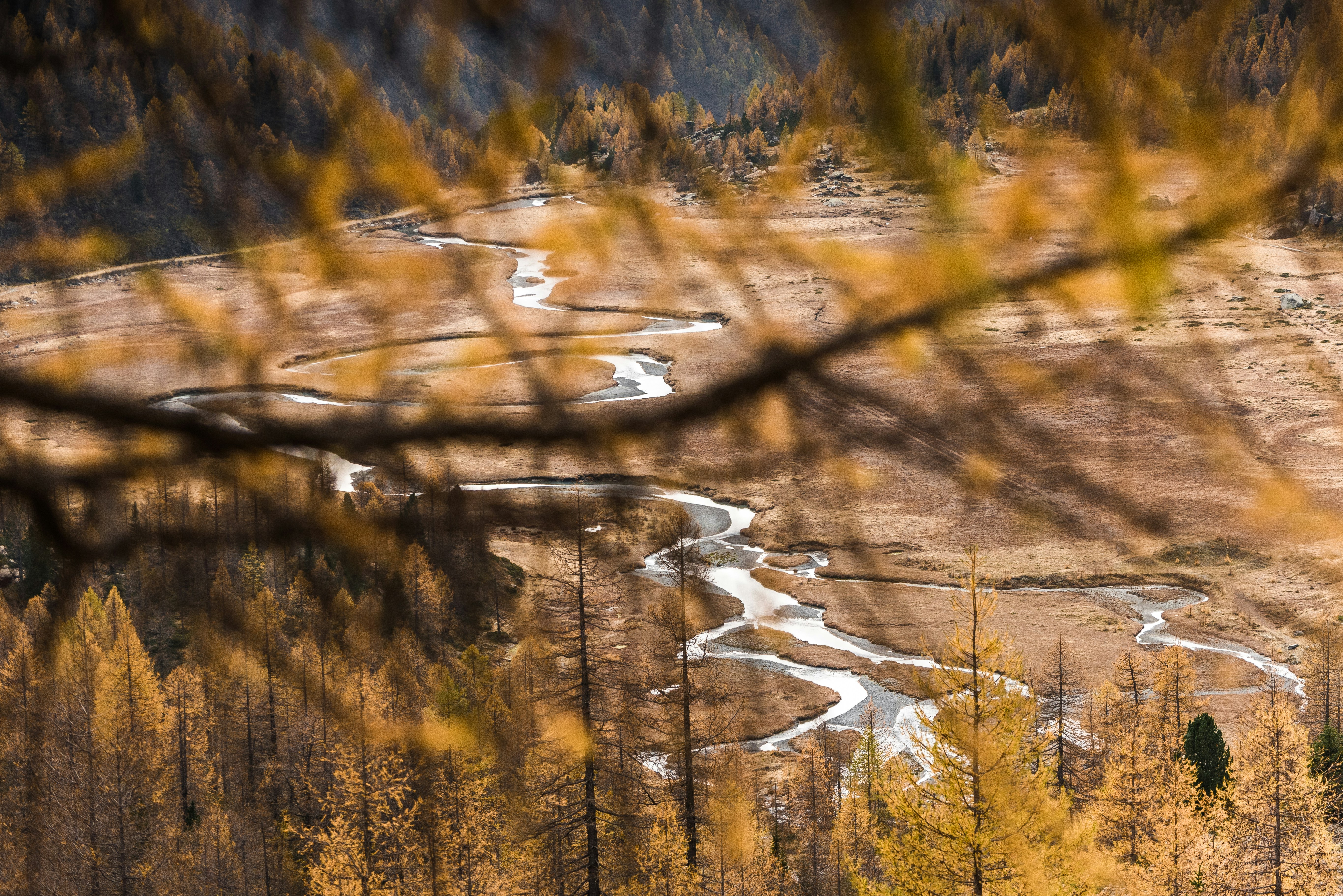 earth tone landscape, wallpaper, Sleeping Comfortably on Hard Ground: Essential Tips 5