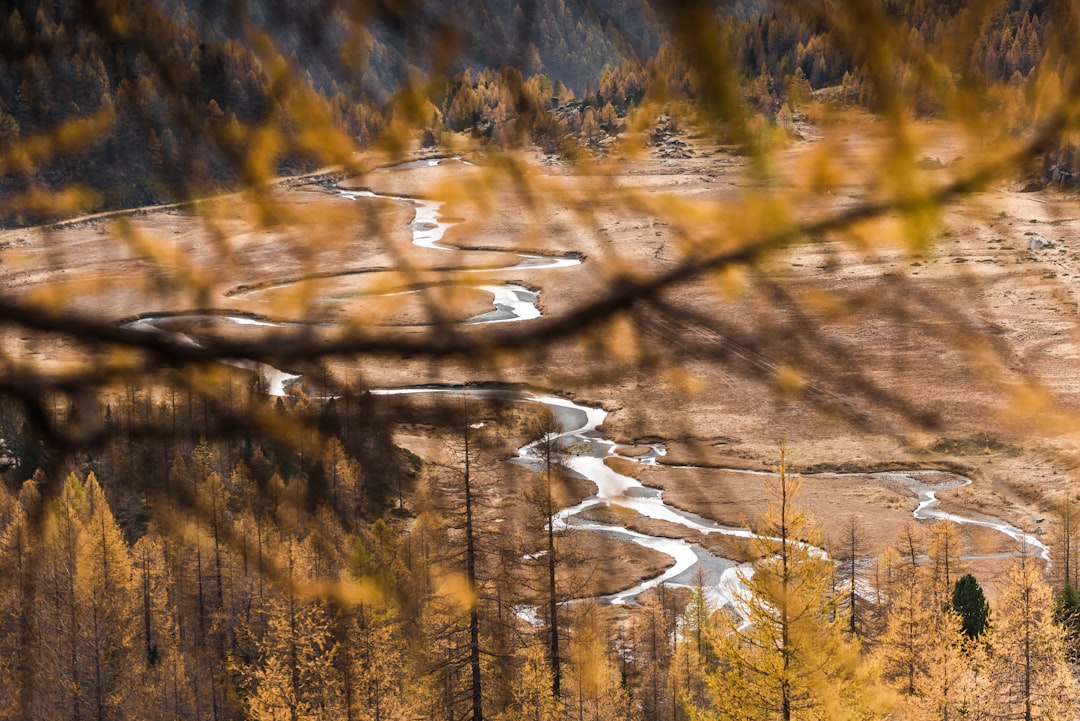 Nature reserve photo spot Preda Rossa Piani dei Resinelli