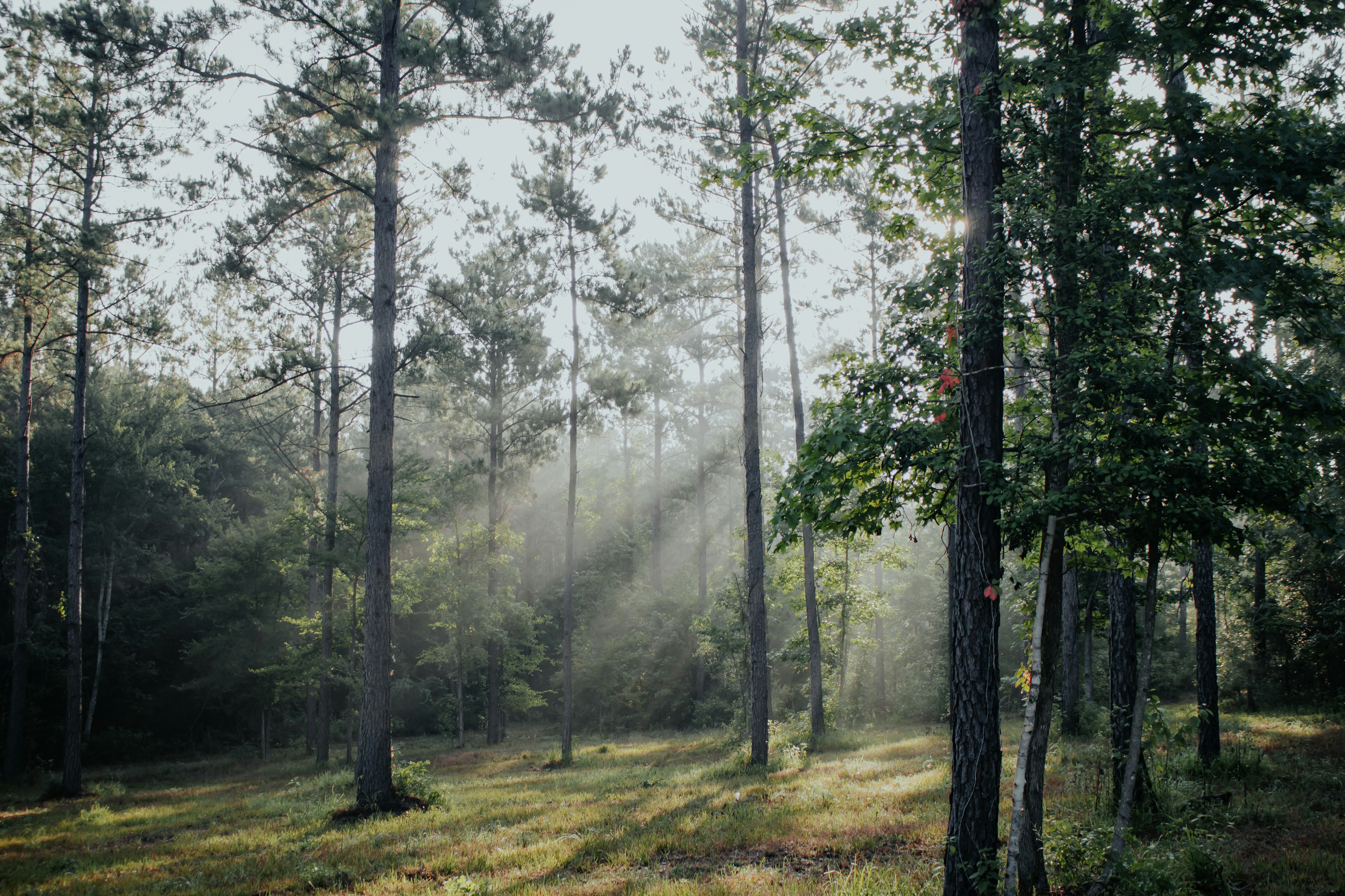 Photo by rachelcoyne