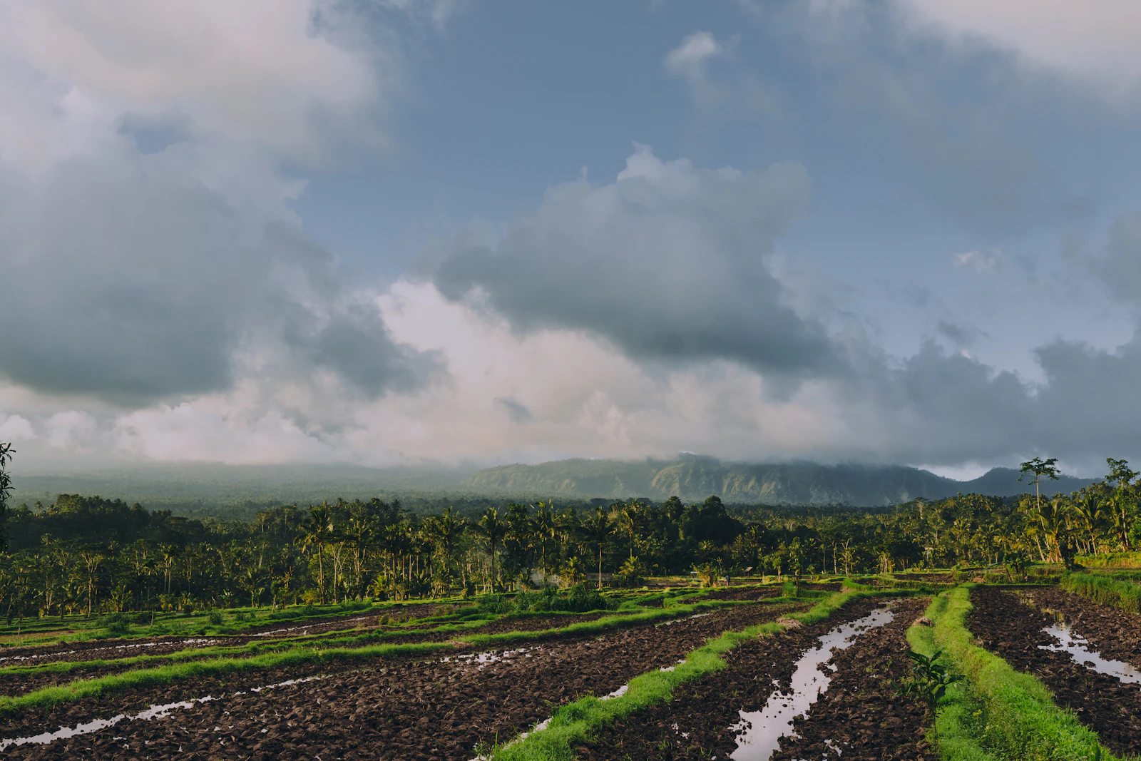 Bali travel inspiration