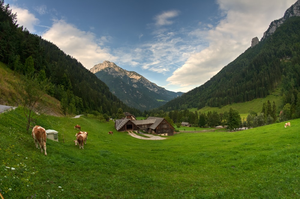 house between mountains