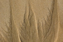 Fine patterns and lines in the sand create an intricate and natural texture. The surface appears soft yet slightly grainy, with gentle shadows highlighting the grooves and valleys formed by the natural movements of wind or water.