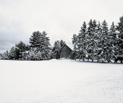 grayscale photo of gray wooden house snowy teams background