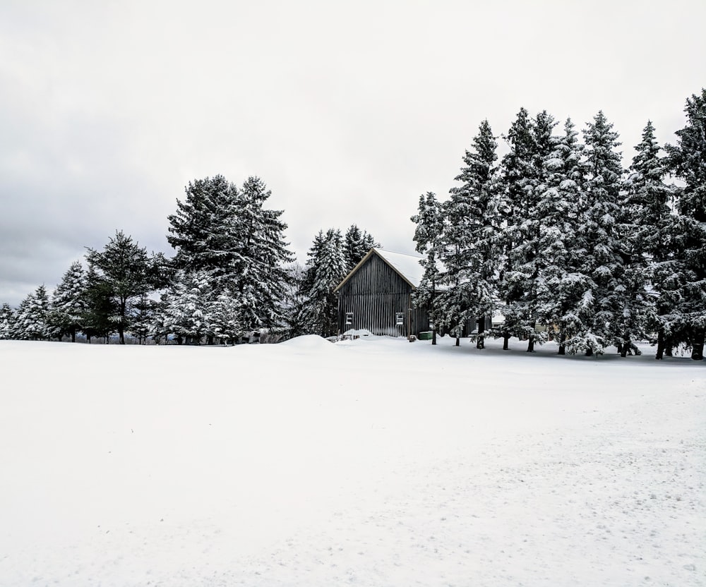 grayscale photo of gray wooden house