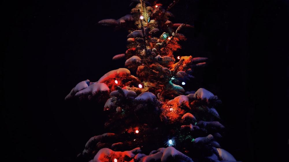 close-up of lighted tree