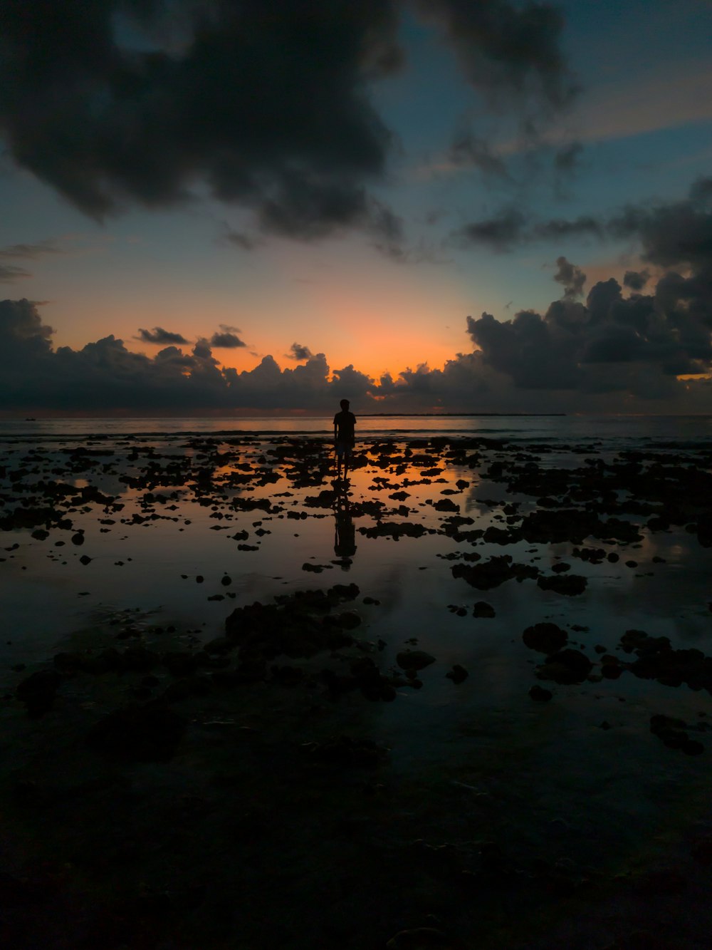 person on seashore