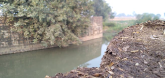 Close-up of silt fences and wattles installed along a muddy roadside.