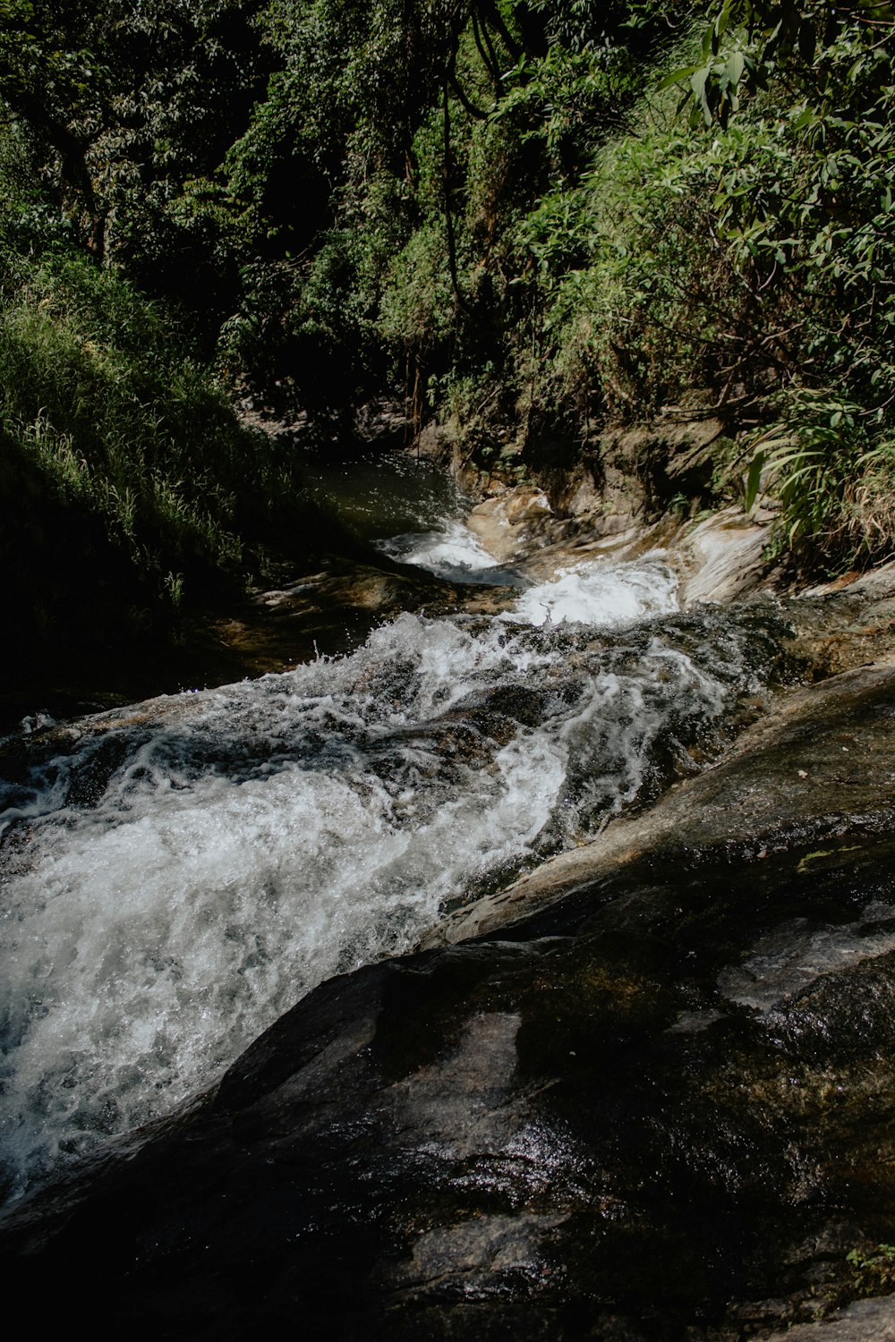 raging waterfalls