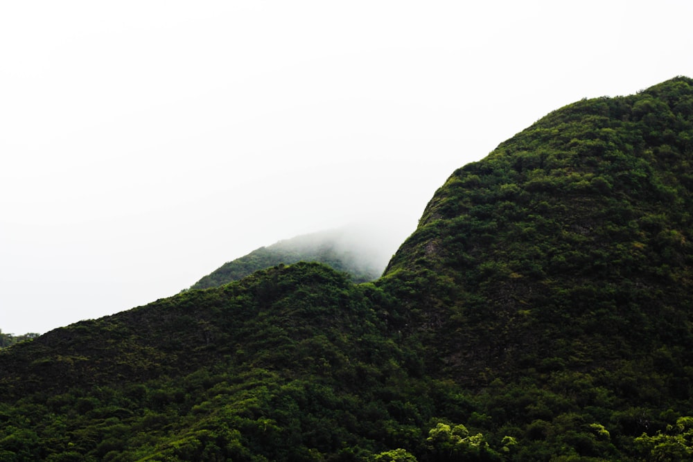 fotografia de paisagem da montanha