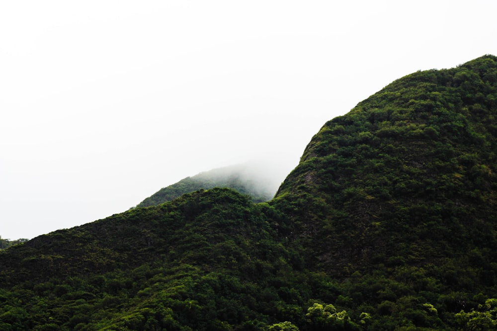 landscape photography of mountain