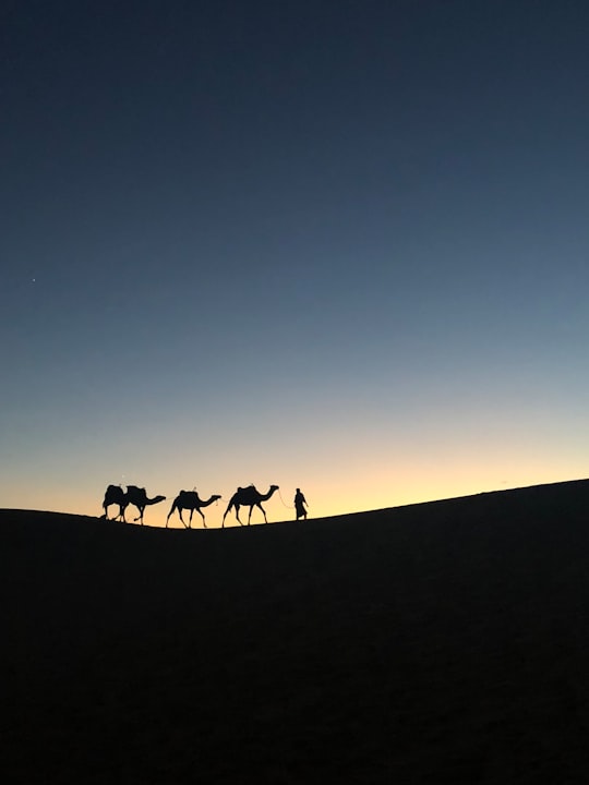 silhouette photo of man holding leash of camel in Errachidia Province Morocco