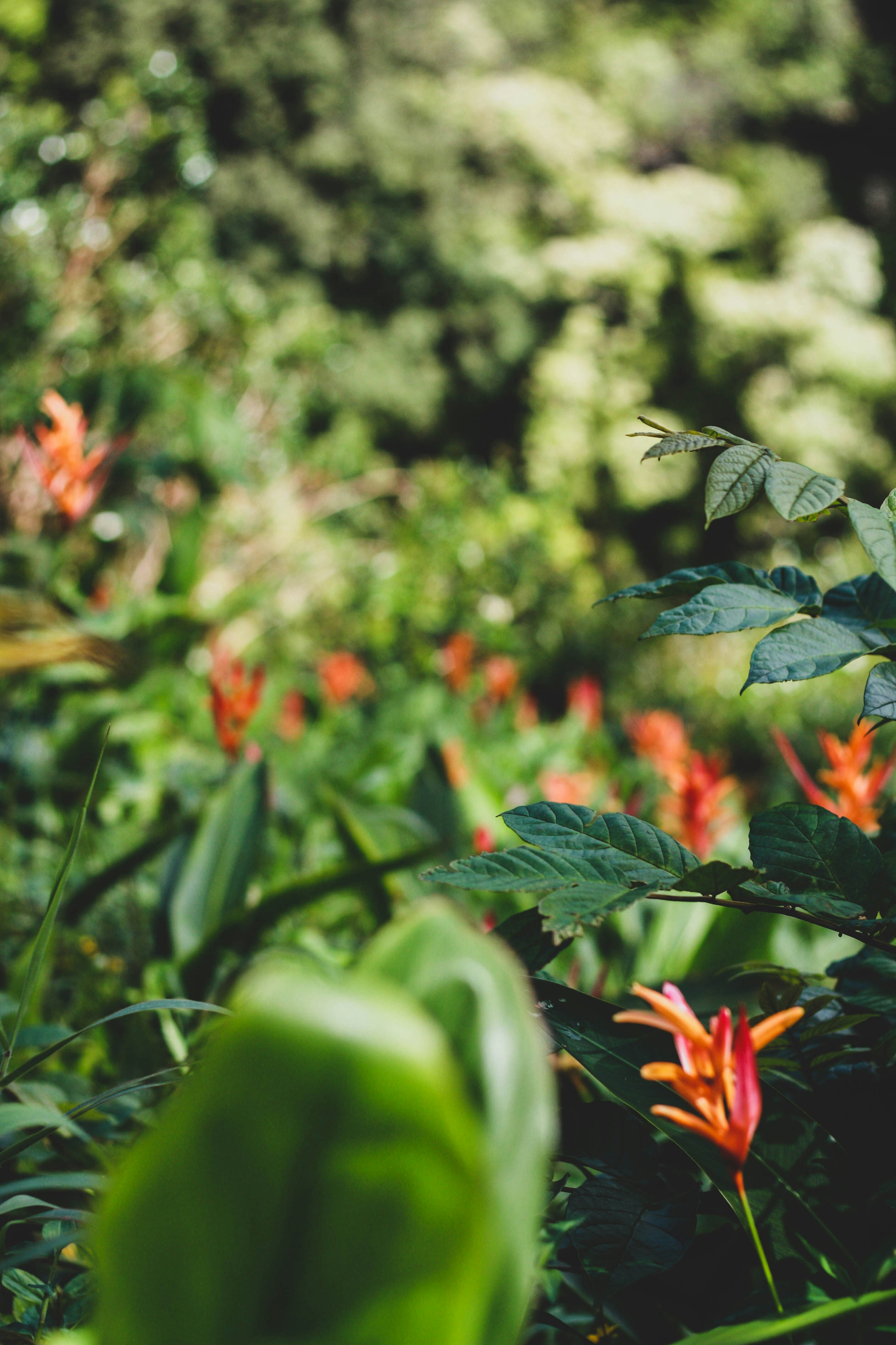 Photo by jackiedilorenzo