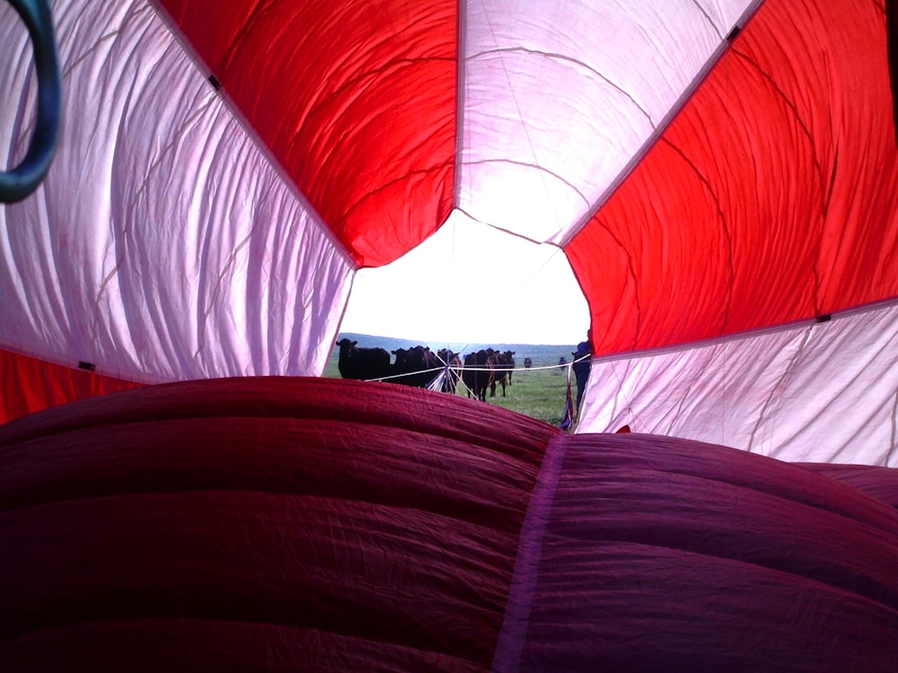 inside a red and white balloon