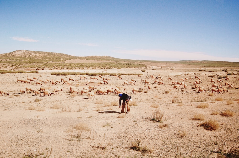 man in desert under blue sky