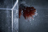 Close-up of water droplets on glass surface with blurred background of fish farming tanks.