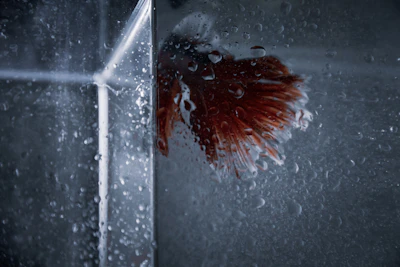 Close-up of water droplets on glass surface with blurred background of fish farming tanks.