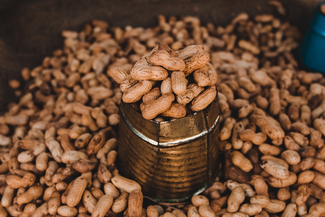 close-up photography of peanut