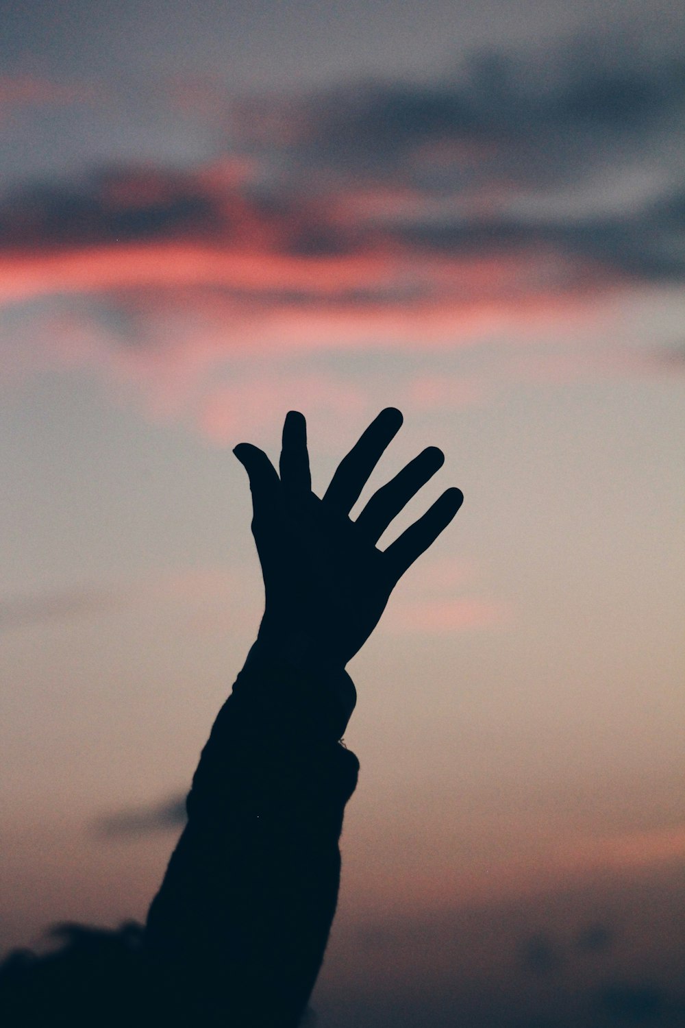 silhouette of person's hand during golden hour