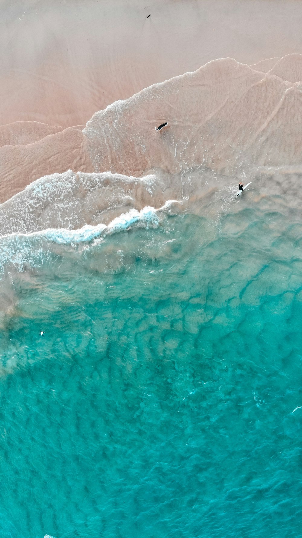 bird's eye view of sea shore