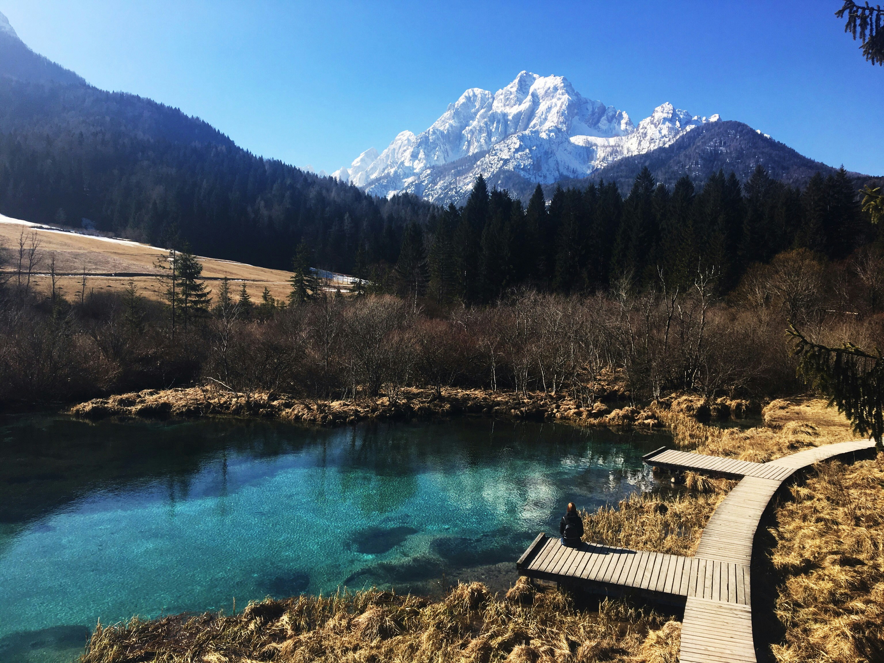 Gewässer in der Nähe von Bäumen während des Tages
