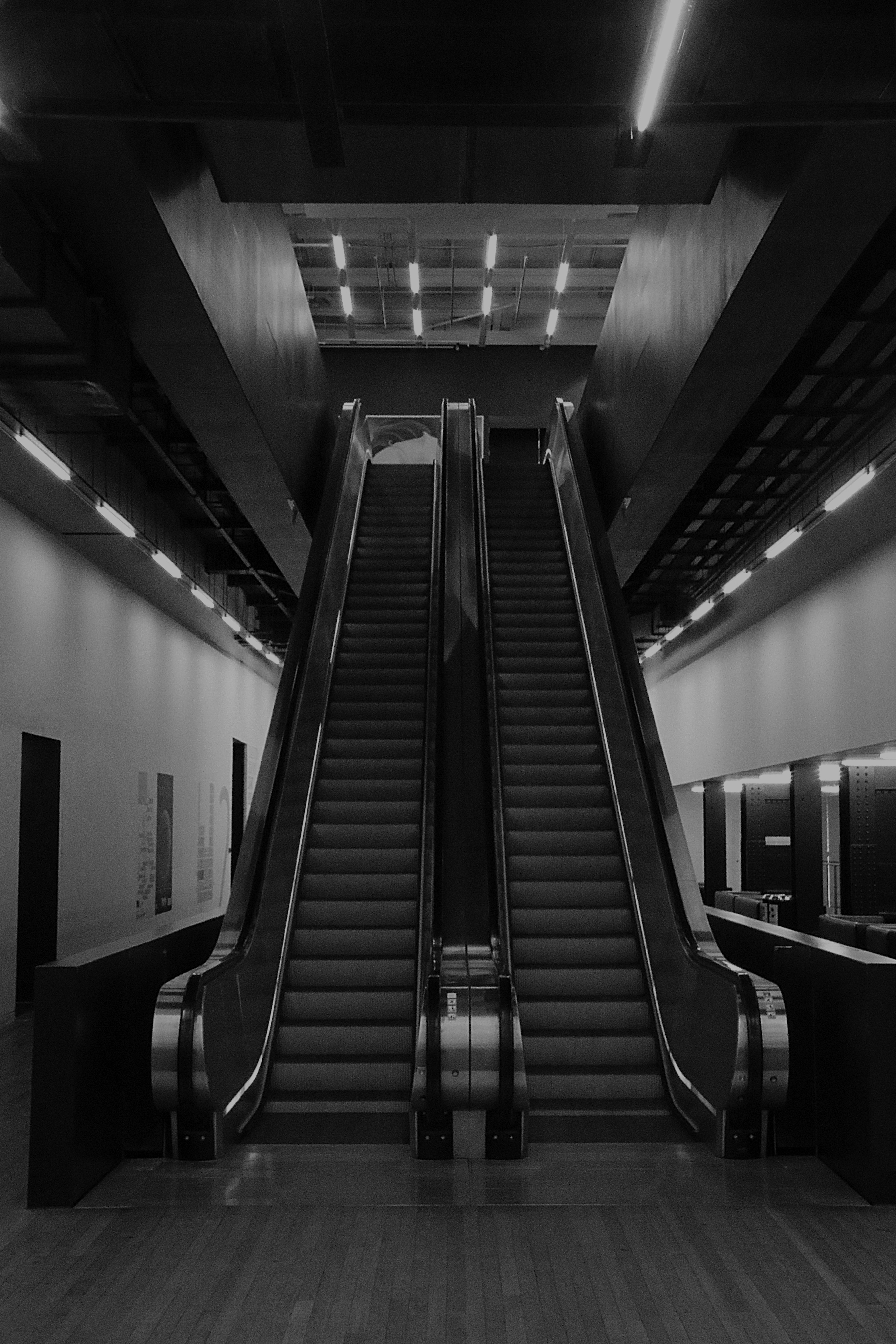 Photo by jannerboy62